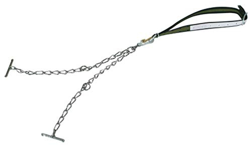 Rinderanb. kompl. m. Kette 6mm dopp.m.Sicherheitsversch.klein