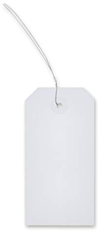 MASHPAPER Warenanhänger aus Karton weiß 60x120mm | mit Draht konfektioniert | 500 Stück weiße Kartonetiketten fertig konfektioniert mit Anhängedraht (ca. 20cm x 0,6mm), verstärkte Pappöse, 5223020+690001