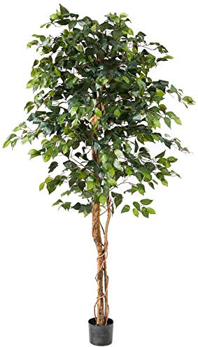 Nearly Natural 6ft Triple Trunk Artificial Ficus Tree with Natural Wood Trunks, Fake Tree for Indoor Home Décor, Faux Ficus Tree with Black Nursery Pot