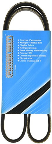 MAPCO V-Ribbed Belts (251035)