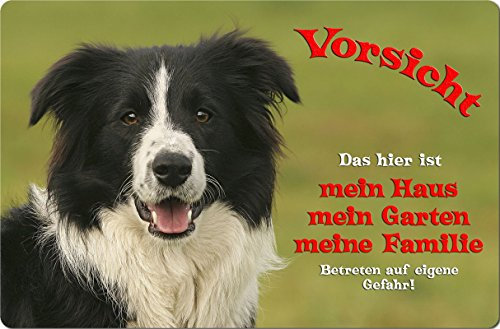 Nanyuk +++ Border Collie - Metall Warnschild Schild Hundeschild Sign - BOC 15 T1