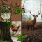 20 Servietten Forest Resident ? Waldbewohner/Hirsch/Waldtiere 33x33cm