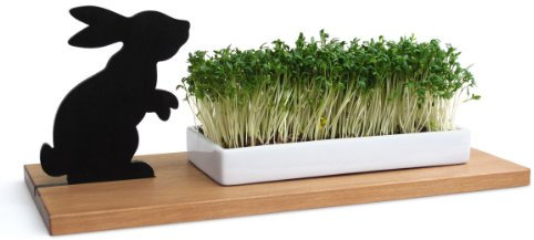 Side by Side - Keksschale, Kresseschale - Plätzchenschale - Hase - Holz, Porzellan