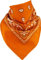 Harrys-Collection Unisex Bandana Bindetuch 100% Baumwolle (1 er 6 er oder 12 er Pack), Farbe:orange
