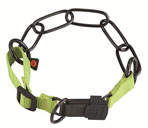 SPRENGER Halsband HALSKETTE verstellbar 65-70cm ClicLock für Hunde lemon green