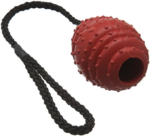 Classic Pet Products Rubber Oval Ball on a Rope, Large, 100 mm, Red/Black