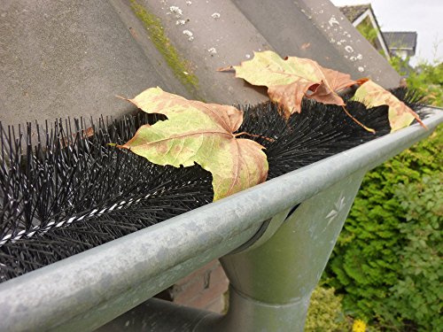 EXCOLO Regenrinne Laubschutz Bürste 1,2m Ø19cm – Dachrinne Abdeckung Blätterschutz Marderschutz – Rinnenschutz gegen Laub, Schmutz, Tiere – Dachrinnenschutz Kunststoffbürste wetterfest