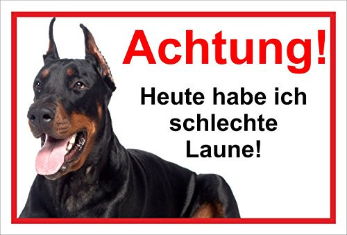 Melis-Folienwerkstatt Schild Warnschild Vorsicht freilaufender Hund – Dobermann Achtung – Schlechte Laune – 20x30cm – S22C