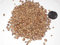 Chinesische Wacholder Seed Pack, Perus chinensis Samen Ideal für Bonsai 25