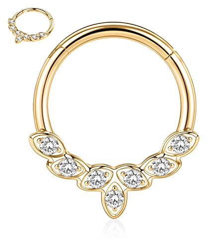 16G Daith Ohrringe Gold Septum Clicker Ring 316L Chirurgenstahl Conch Piercing Nasenring Hoop mit CZ Higned Segment Seamless Clicker Ring Rook Tragus Helix Piercing Schmuck Hoop Ohrring 10mm