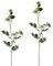 NTK-Collection Clematis Weiß 2er Set 78 cm Kunstpflanze Dekoration Kunstblume