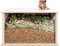 Niteangel Visible Hamster Digging Box for Syrian Dwarf Roborovski Campbell Hamsters Gerbils Mice Lemmings Degus or Other Small-Sized Pets (Burlywood)