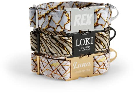 DogNotFox Dog Collar With Personalised Name PhoneLaser Engraved Metal Retractable Quick Release Buckle Gold Marble Goldenrod X-Large