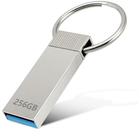 Poxfun Chiavetta USB 256GB Pen Drive in Metallo, Alta Velocità USB 3.0, Impermeabile Pendrive, Compatibile con PC, Laptop, Computer, Mac