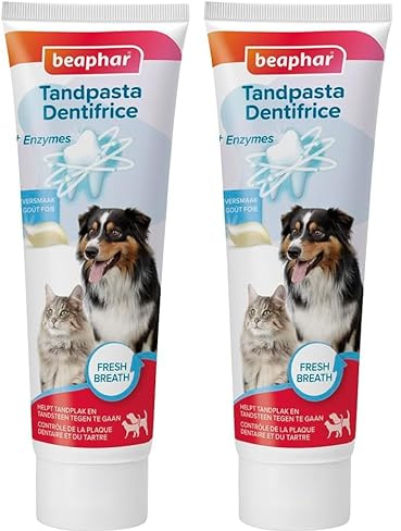 BEAPHAR – Dentifrice pour Chien et Chat – Contrôle de la Plaque Dentaire et du tartre – sans rinçage – Haleine fraîche – Nettoyage Complet – Goût Foie – Aux enzymes – sans colorants – Tube de 100 g