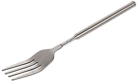 Edelstahl-Abendessen-Gabel, Fydun ausziehbares Abendessen-Frucht-Nachtisch-Langgriff-Gabel-Edelstahl-Besteck des Grill-Teleskop