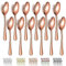Evanda Rose Gold Dinner Spoons 12 Pieces, Rose Gold Titanium Plating Stainless Steel 18.5cm Spoons, Dessert Spoons, Table Spoon, Soup Spoons, Easy to Clean, Dishwasher Safe