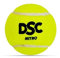 DSC Nitro Heavy Rubber Tennis Ball | Color: White | Pack of 2 | Premium Outer Felt for Greater Durability | Stitching Rubber Moulded | Ideal for Designed for Beginners