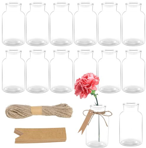 POFIBO Mini Glasvasen - 12PCS Kleine Vasen Set für Tischdeko - 10.3cm Hoch Blumenvase Glas mit 20m Juteschnur Kleine Deko Vasen Durchsichtig Dekogläser Minivasen für Zuhause, Hochzeit, Garten, Feste