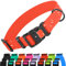 CollarDirect Wasserdichtes Hundehalsband Verstellbar – Silikon & Kunststoff, Geruchsresistent, Leicht zu Reinigen, Sicherheitsverschluss – für kleine, mittlere & große Hunde (Rot, L (35-45 cm))