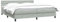 vidaXL Boxspringbett mit Matratze Hellgrau 200x220 cm Samt