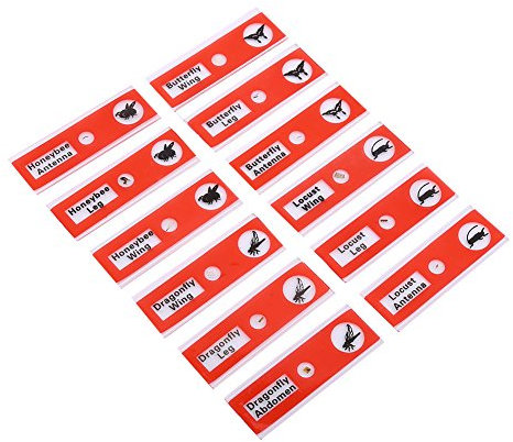 Educational Microscope Slides 12pcs Biological Specimen Kit Animal Insect Plant Flower Samples Science Lab Supplies Kids Children Students Learning Enlighten Education microscope slides