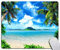 Tapis de souris de plage, palmiers tropicaux et paysage d'île d'eau de mer fraîche, tapis de souris rectangulaire en caoutchouc antidérapant pour bureau, maison, ordinateur portable, 24,1 x 20,1 x 0,3