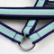 Equest Halfter Regular Plus Island Blue Pony
