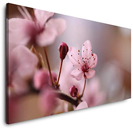 Blumen in rosa 120x 60cm Panorama Leinwand Bild XXL Format Wandbilder Wohnzimmer Wohnung Deko Kunstdrucke