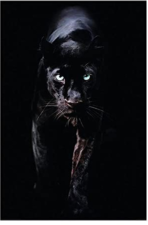 PYROJEWEL Schwarzer Leopard Bild Print Tier Leinwand Malerei Panther Wandkunst Poster Moderne Wohnzimmer Dekoration Gemälde 50x70cm Rahmenlos…