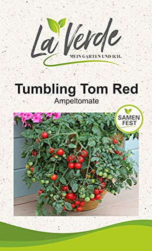 Tumbling Tom Red Tomatensamen