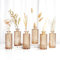 Winter Shore Vase Decoratif Ambre avec Motifs Diamant (Lot de 6) - Vase Fleur & Herbe de Pampa - Vase Vintage pour Décoration de Table, Mariage, Réception, Centre de Table