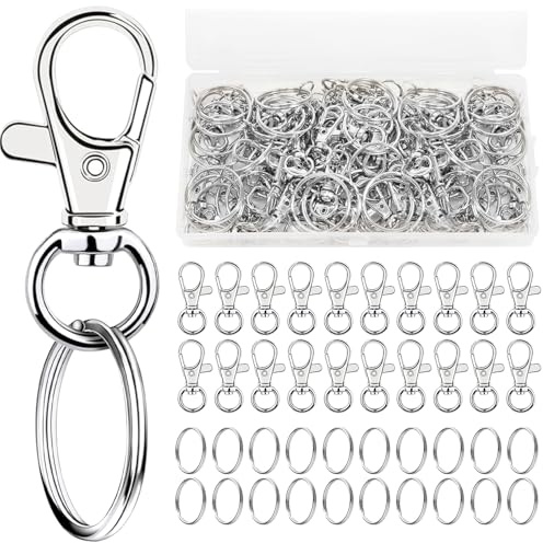 Redamancy 40 Stück Schlüsselanhänger Karabiner Schlüsselring, 20 Stück Karabiner und 20 Stück Schlüsselringe, Zinklegierung & Edelstahl Set für DIY Handwerk Haus, Auto, Sport(Silber)