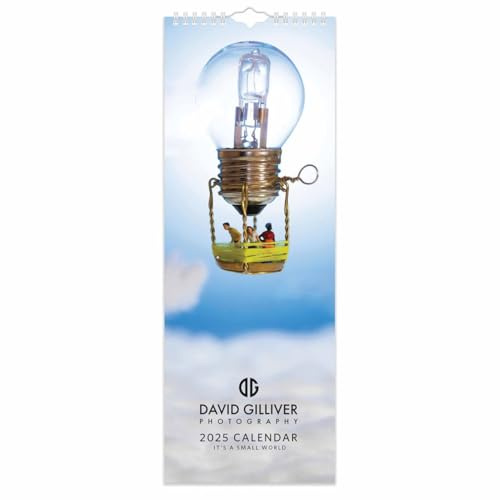 2025 Small World David Gilliver Slim Wandkalender