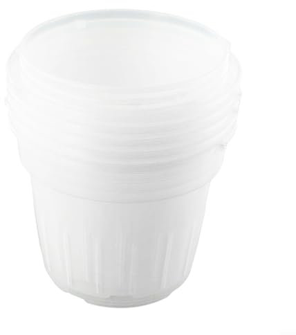 Pots à orchidées transparents pour assurer une bonne humidité, tailles S à XL (grand)