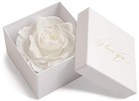 ROSEMARIE SCHULZ 1 Infinity Baccarat Rose Konserviert Rosenbox Weiß I LOVE YOU Geschenk für Frauen