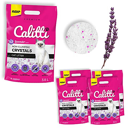 Calitti - Silikat Katzenstreu | Premium Crystals Silikatstreu | Antibakteriell Katzensand mit frischem Lavendelduft | 4-er Set 4 x 3,8 L = 15 L