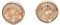 HAPPY CROWNS Edelstahl Ohrstecker kupfer rund 10 mm | Beton Ohrringe verziert mit Kupferfolie | Schmuck Unikate aus Deutschland | Nickelfreier Ohrschmuck | Handmade