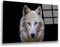 INDIGOS UG Luxus Glasbild - Wolf weiß - 80x50 cm - ESG Echtglas bedruckt - Glasdruck - Wohnzimmer, Küche, Schlafzimmer, Badezimmer - Geschenk - Deko, Wandbild