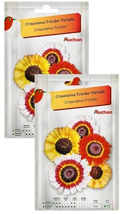 Semillas de Crisantemo Tricolor Variado, Pack de 2 Sobres, Flores de Colores Mixtos