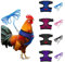 Verstellbares Hühnergeschirr mit Leine, 4 Stile, Bequeme Hennenweste, atmungsaktives Netzgewebe, Trainingsgeschirr und Leine für 1,1–1,6 kg Ente, Gans, Henne, kleine Haustiere, 4 Stück