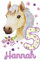MissRompy Geburtstag DTF Bügelbild Pferd (780) für dunkle und helle Stoffe Zahl groß Aufbügler Pony Alter Bügelbilder Applikation Aufbügelbild