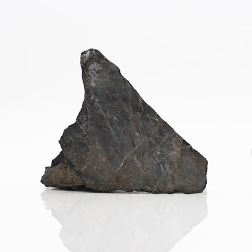 Amtra Roccia Quartz Natural Black Natürliche Dekoration für Aquarien Wild, Kalkstein, ideal für Zen-Gärten, Gewicht 2-3,5 kg