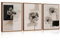 HPNIUB Neutral Florale Wandkunst Abstrakte botanische Wanddekoration Moderne minimalistische Blumenkunst Aquarell Blumen Malerei Set von 3 für Wohnzimmer Schlafzimmer
