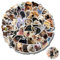 Funny Cute Pet Animal Stickers, 100Pcs Cartoon Dog Stickers Pack for Teens Girls Dog Lovers Water Bottle Scrapbook Phone Laptop Computer