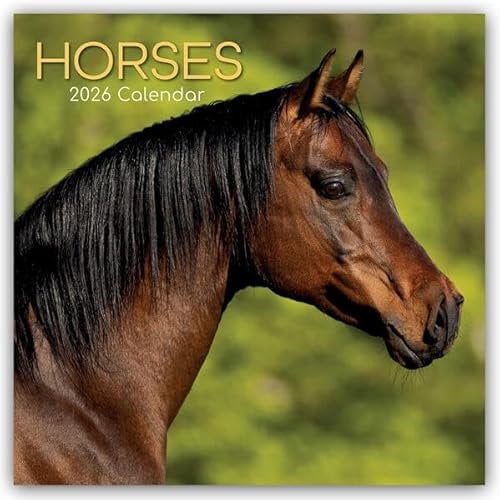 Horses – Pferde 2026 – 16-Monatskalender: Original Gifted Stationery-Kalender [Mehrsprachig] [Kalender] (Wall-Kalender)
