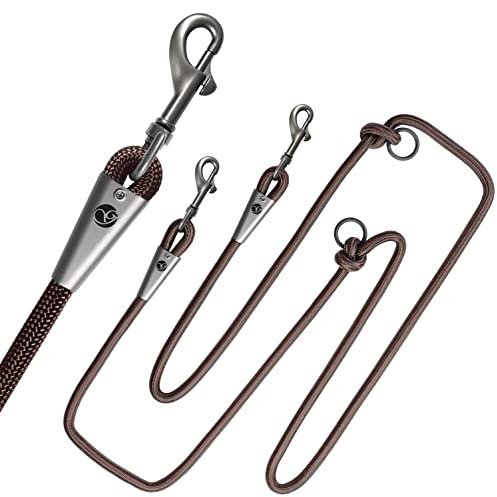 Ganzoo Hundeleine aus Premium PPM-Seil, 2-Fach verstellbar, strapazierfähig mit Zwei Karabinern, 2 Meter (Braun)
