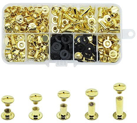 JINTANG 100 Satz Chicago Buchschrauben,4/6/8/10/15mm,Binding Schrauben kit 5 Größen Chicago schrauben Nägel Nieten Chicago Button für DIY Leder Dekoration,Bookbinding,Buchbinderei,Gürtel,Gold