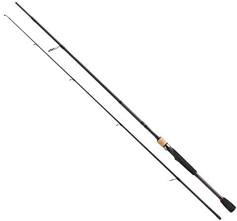 Berkley E-Motion Baitcastruten
