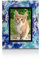 Gloop Bilderrahmen Fotorahmen Poster Foto in Strass steinen Muster Kunststoffrahmen in verschiedenen mass (10 x 15, 94011 Blau)